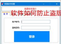 软件如何防止盗版？7大实用防护策略