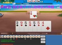 陕麻园/捉老麻子/2人跑得快记牌器 - 电脑版智能算牌丨精准记牌 炸弹分析丨陕西玩法专用辅助